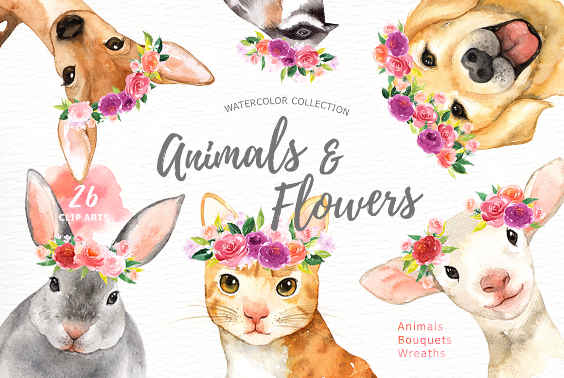 Animals & Flowers Watercolor Clipart ~ Illustrations ...
