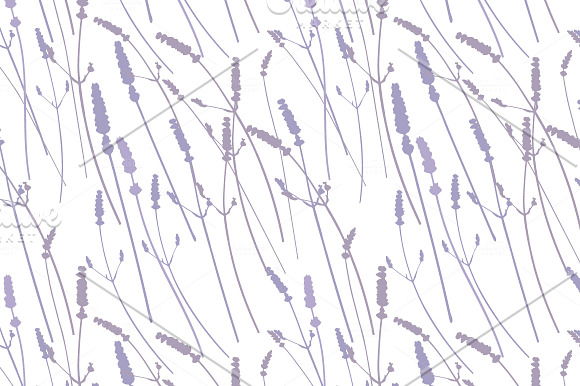 9 Realistic Lavender Patterns in Patterns - product preview 4