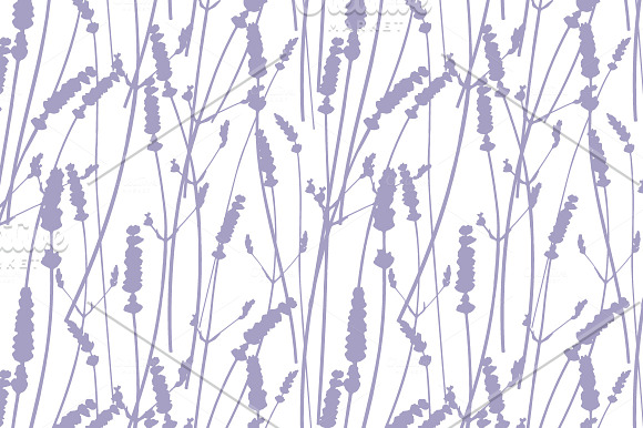 9 Realistic Lavender Patterns in Patterns - product preview 7