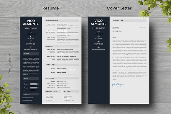 Vigo - Resume Template in Resume Templates - product preview 1