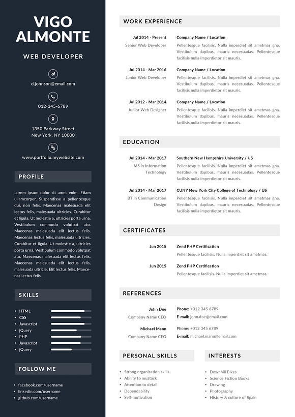 Vigo - Resume Template in Resume Templates - product preview 3