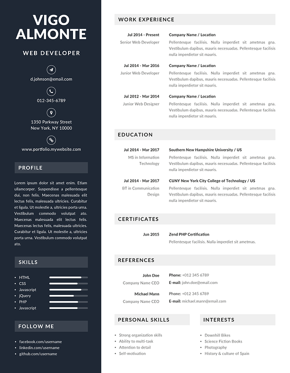 Vigo - Resume Template in Resume Templates - product preview 5