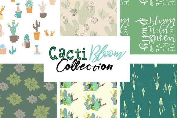 Cacti Bloom Collection in Patterns
