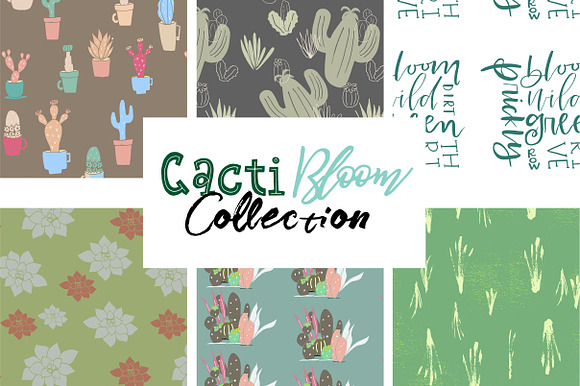 Cacti Bloom Collection in Patterns - product preview 1