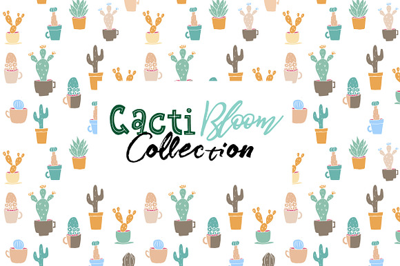 Cacti Bloom Collection in Patterns - product preview 2