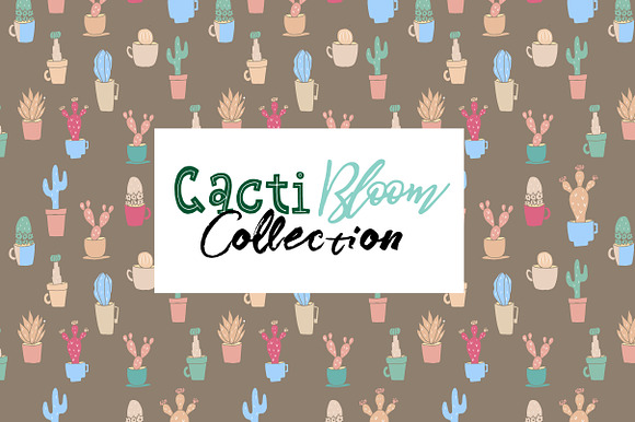 Cacti Bloom Collection in Patterns - product preview 3