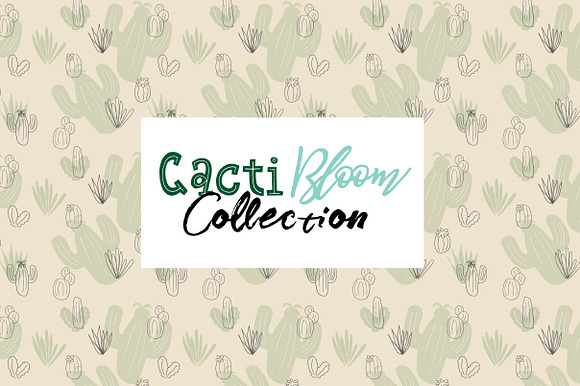 Cacti Bloom Collection in Patterns - product preview 4