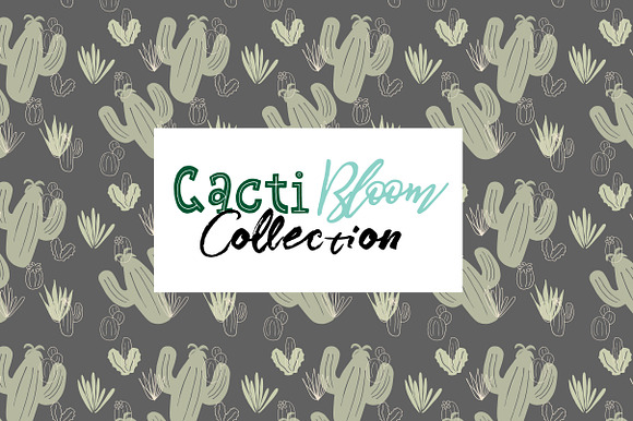 Cacti Bloom Collection in Patterns - product preview 5