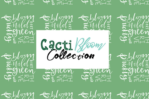 Cacti Bloom Collection in Patterns - product preview 6