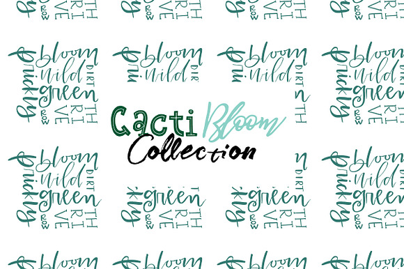 Cacti Bloom Collection in Patterns - product preview 7