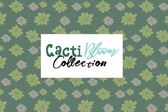 Cacti Bloom Collection in Patterns - product preview 8