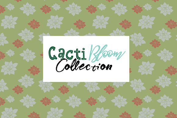 Cacti Bloom Collection in Patterns - product preview 9