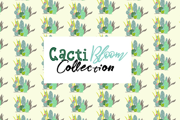 Cacti Bloom Collection in Patterns - product preview 10
