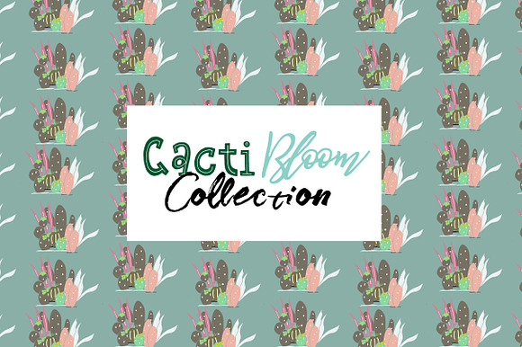 Cacti Bloom Collection in Patterns - product preview 11