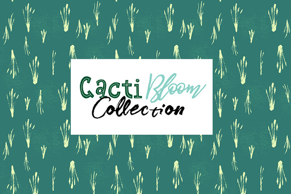 Cacti Bloom Collection in Patterns - product preview 12