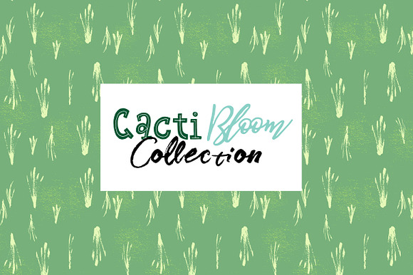 Cacti Bloom Collection in Patterns - product preview 13