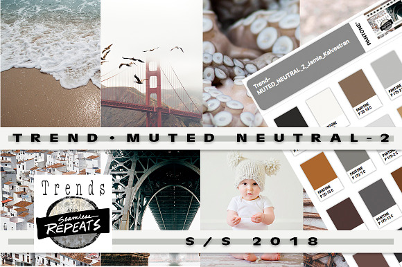 Trend Color S/S 2018 Muted Neutrals in Photoshop Color Palettes - product preview 1