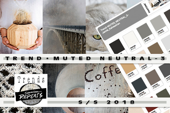 Trend Color S/S 2018 Muted Neutrals in Photoshop Color Palettes - product preview 2