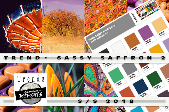 Trend Color S/S 2018 Sassy Saffron in Photoshop Color Palettes - product preview 1