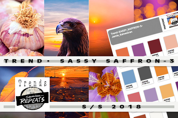 Trend Color S/S 2018 Sassy Saffron in Photoshop Color Palettes - product preview 2