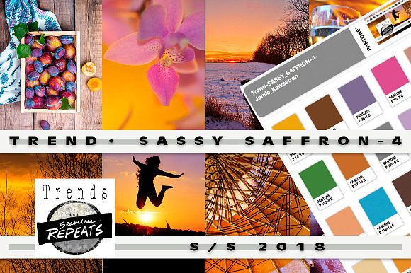 Trend Color S/S 2018 Sassy Saffron in Photoshop Color Palettes - product preview 3