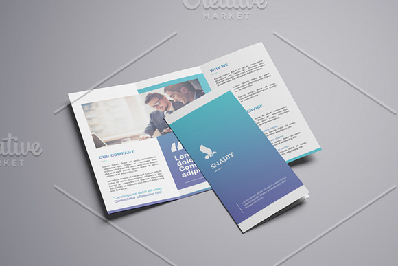 Trifold Corporate Brochure-V746
