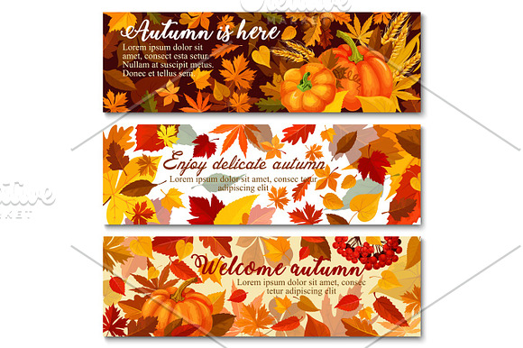 Autumn Pumpkin With Fallen Leaf Banner Set Design