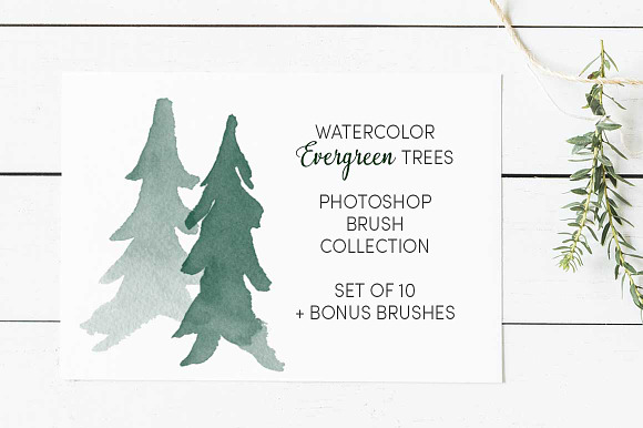 Watercolor Evergreen Trees Brush Set