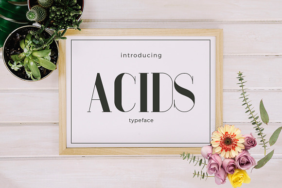 Acids Typeface
