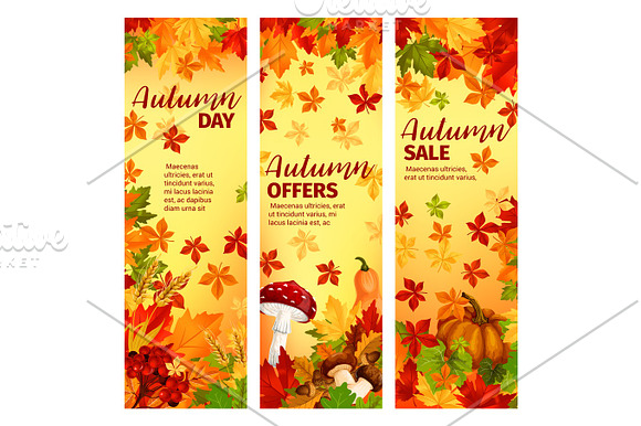 Autumn Sale Banner Set Of Fall Leaf And Pumpkin