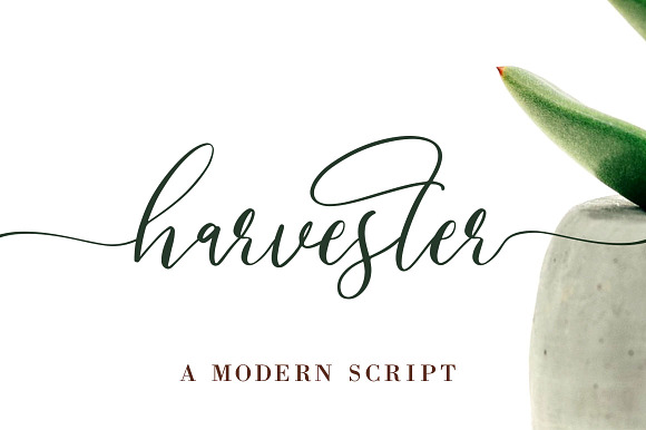 Harvester Modern Script