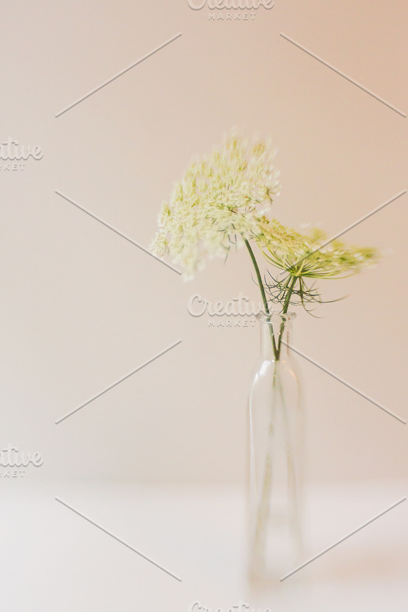 02 Queen Anne's Lace Mockup Template