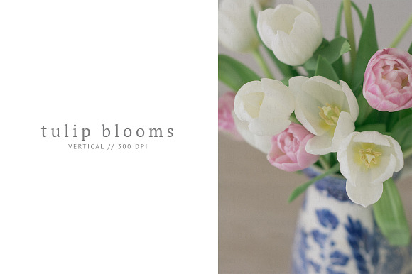 Tulip Styled Stock In Vintage Vase