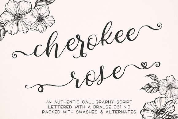 Cherokee Rose Calligraphy Script