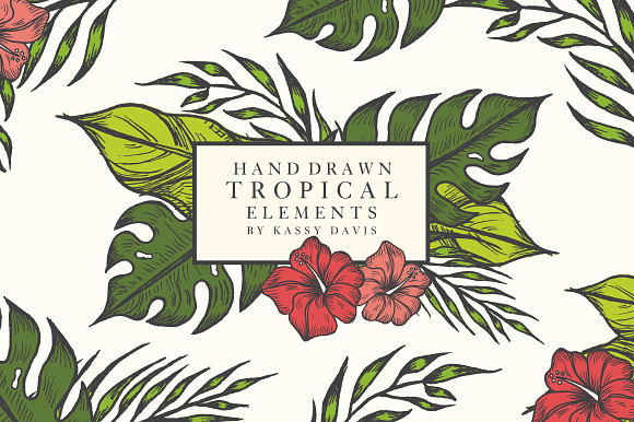 Hand Drawn Tropical Vector Elements