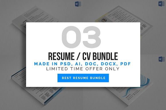 3 Resume Cv Bundle
