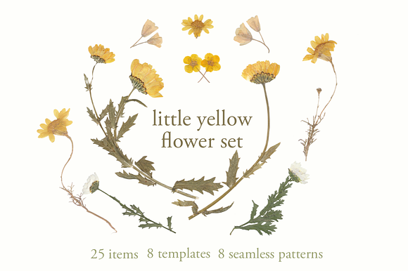 Yellow Flower Set