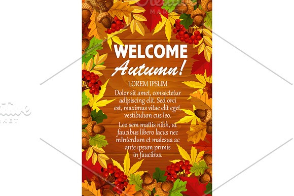 Autumn Vector Maple Leaf Foliage Rowanbery Poster