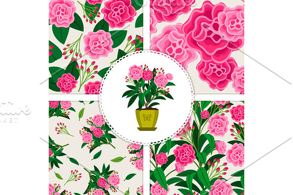 Pink Flower Icon And Patterns Set