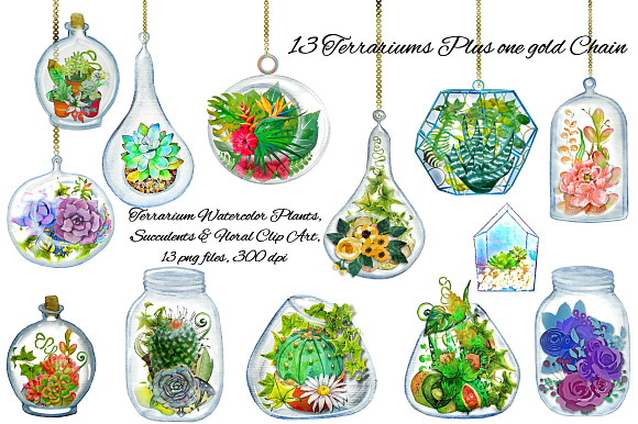 Terrarium Watercolor Plants ClipArt in Illustrations
