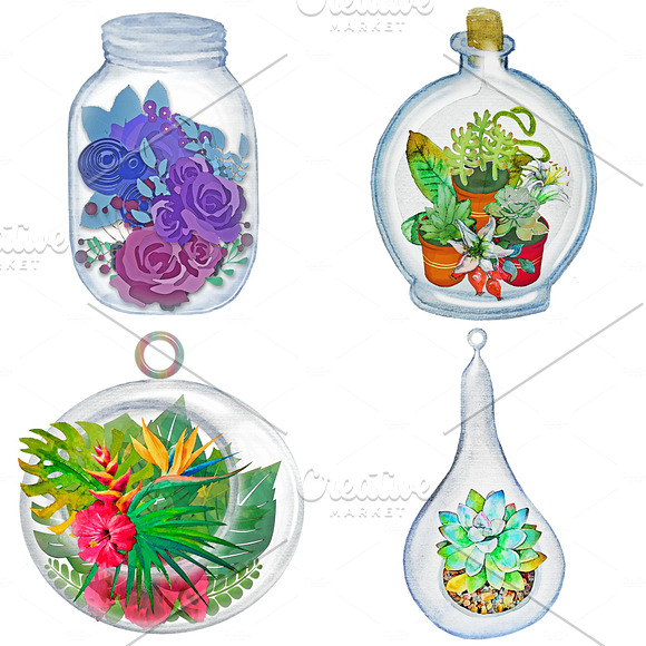 Terrarium Watercolor Plants ClipArt in Illustrations - product preview 2
