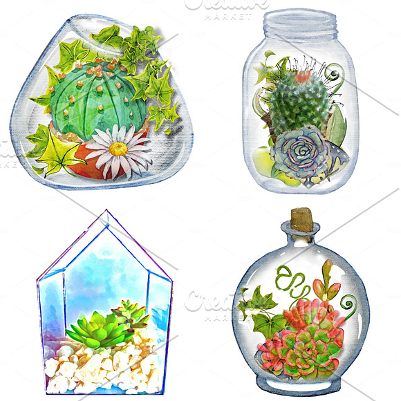 Terrarium Watercolor Plants ClipArt in Illustrations - product preview 3