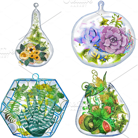Terrarium Watercolor Plants ClipArt in Illustrations - product preview 4