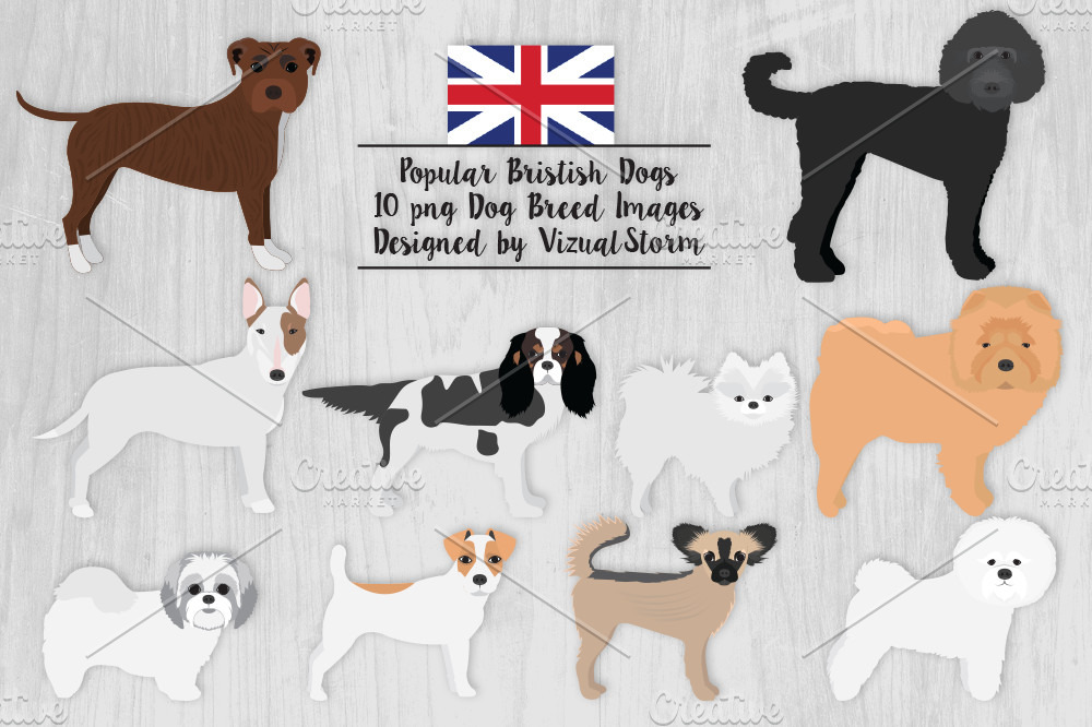 britishdogbreeds