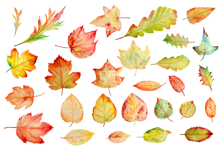 watercolor leaves clipart - photo #7