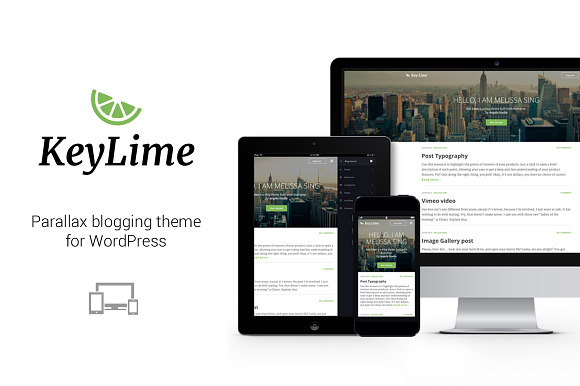 KeyLime WP - Wordpress Blog Theme in WordPress Blog Themes - product preview 1