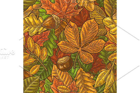Seamless Pattern Leafs Acorn Chestnut And Seed Vector Vintage Engraving