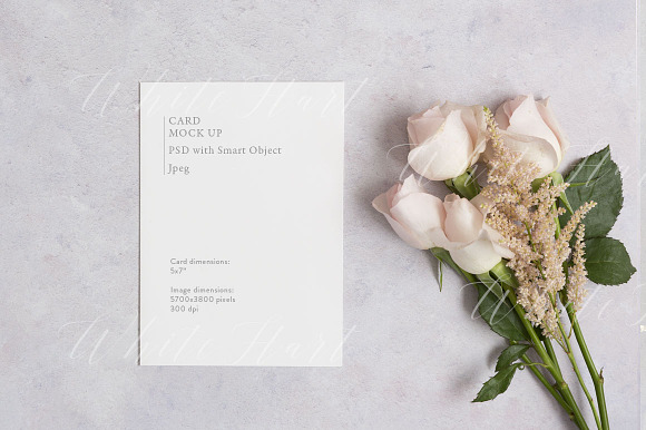 Download 5x7 floral card mock up with roses