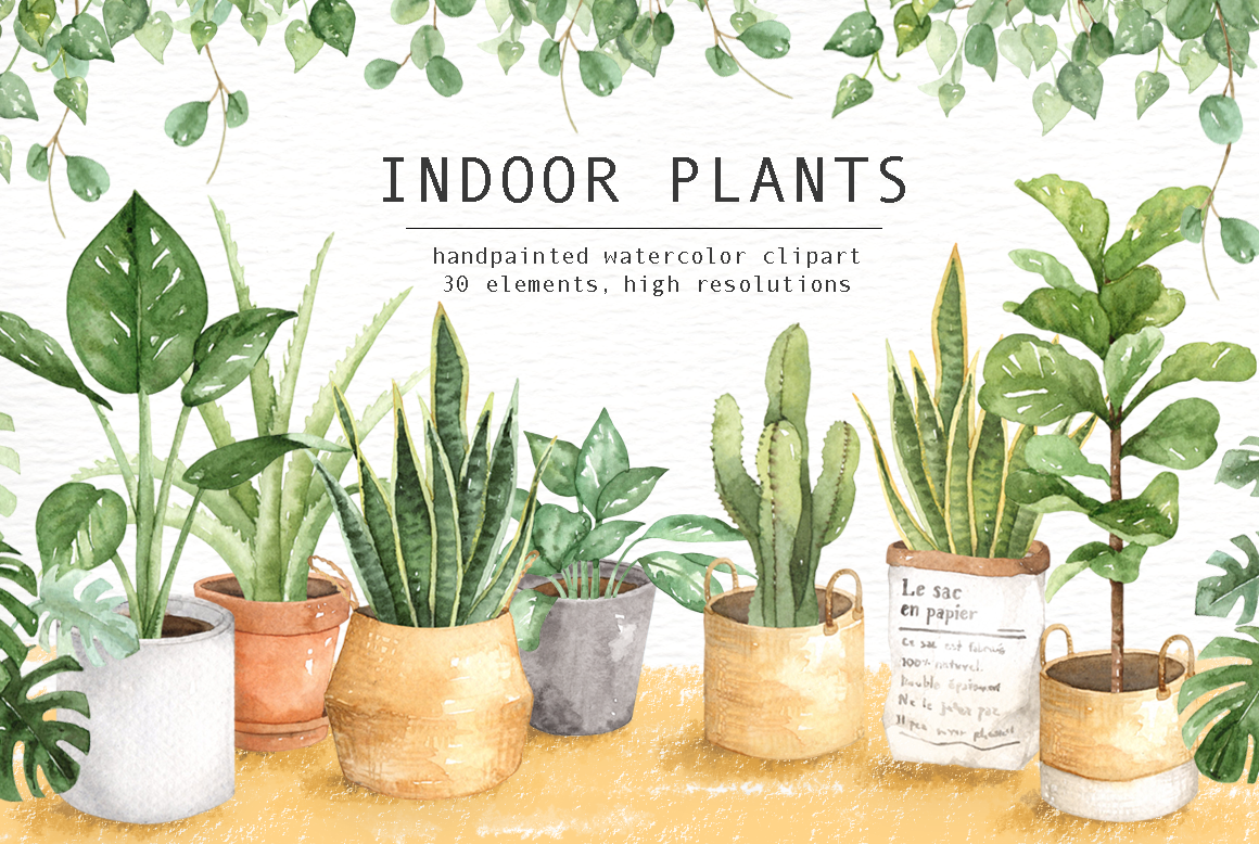 Indoor Plants Watercolor Clipart ~ Illustrations ...