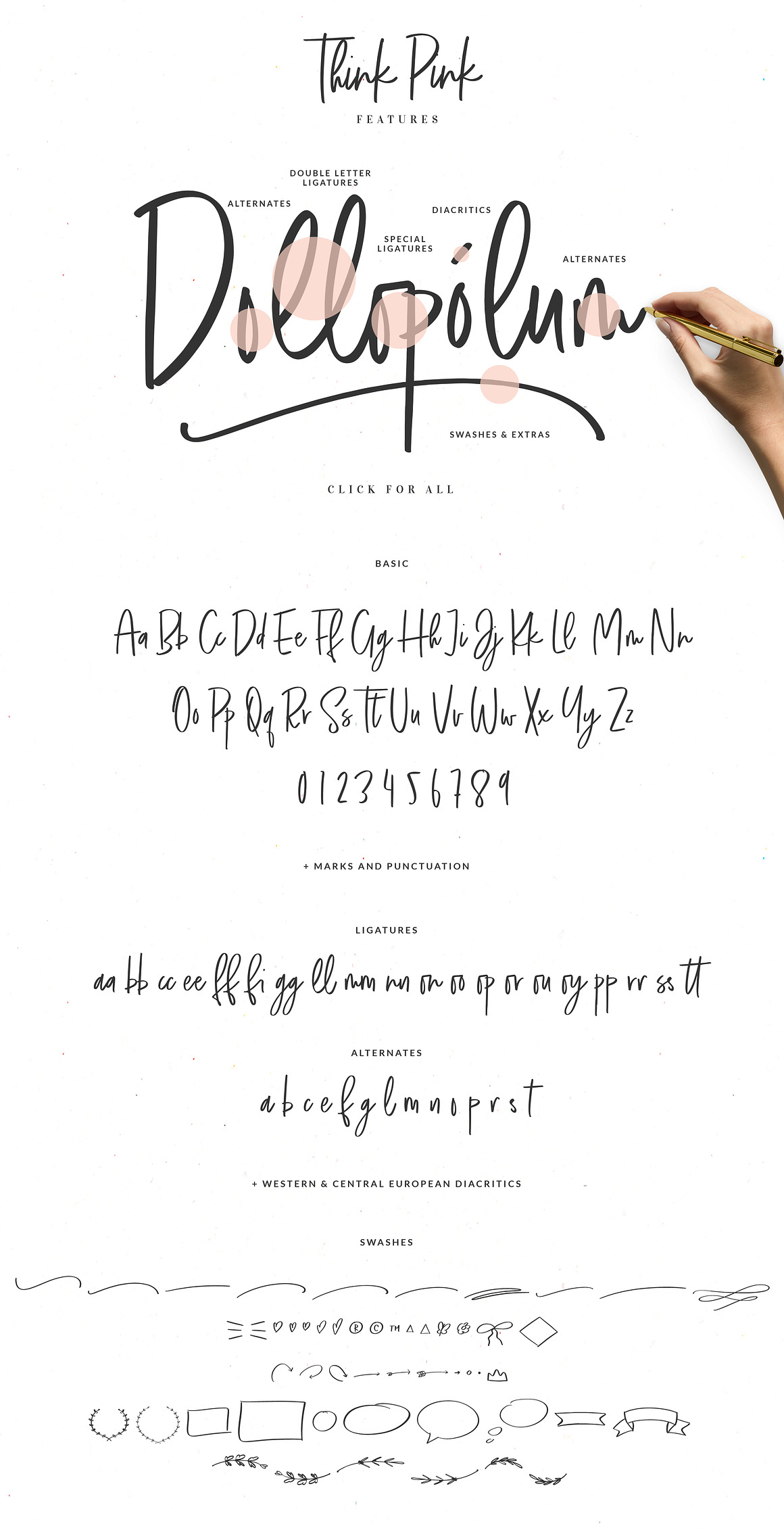 Handwritten Font Bundle  - Script
